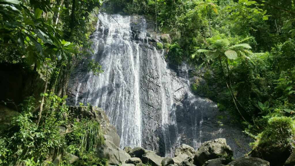 Puerto Rico Summer Vacay