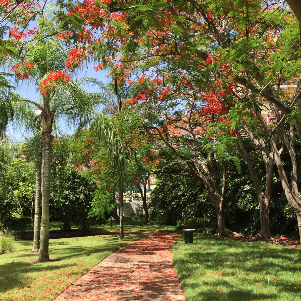 Puerto Rico Summer Vacay