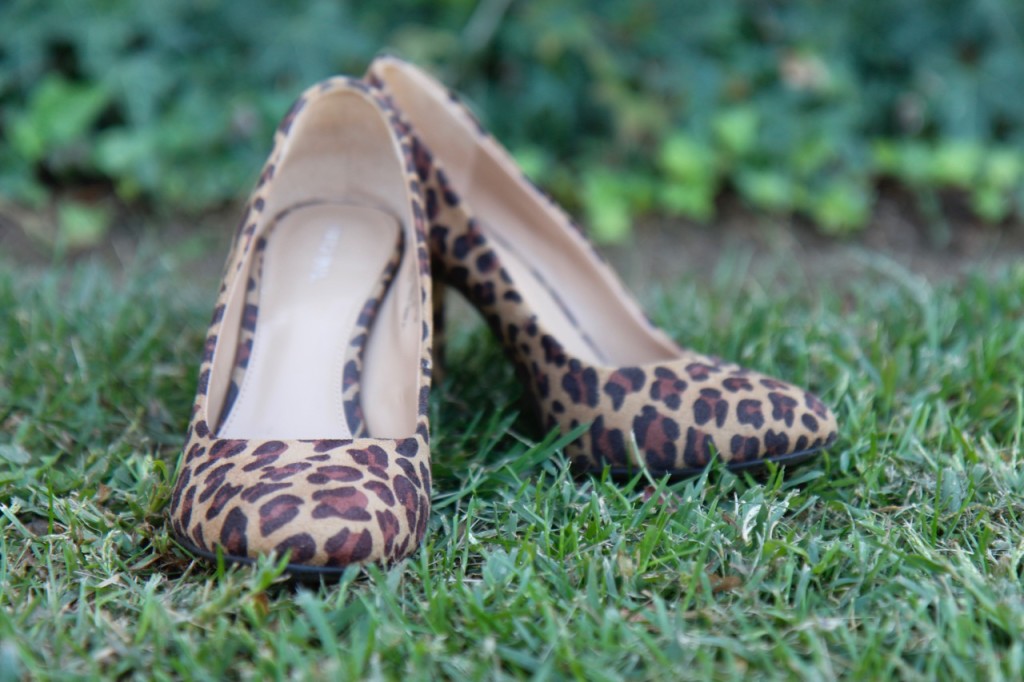 Layering a Midi Dress and a Giveaway! - Leopard Heels