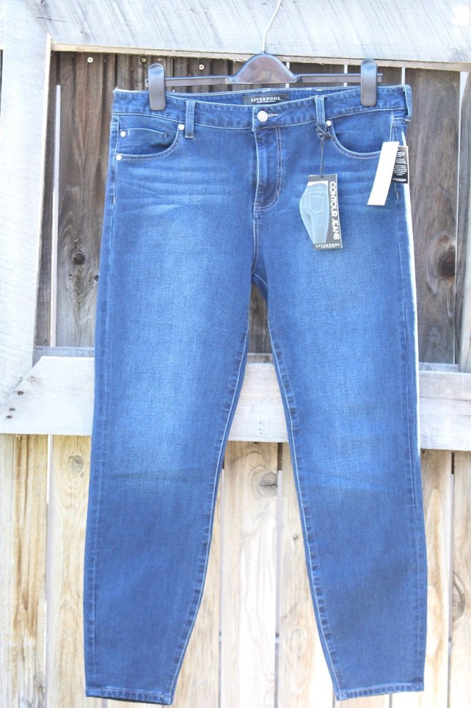 March Stitch Fix - Skinny Jeans