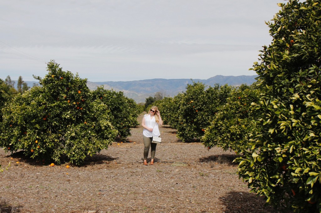 Grove Party - Stitch Fix Olive Pants and White Blouse