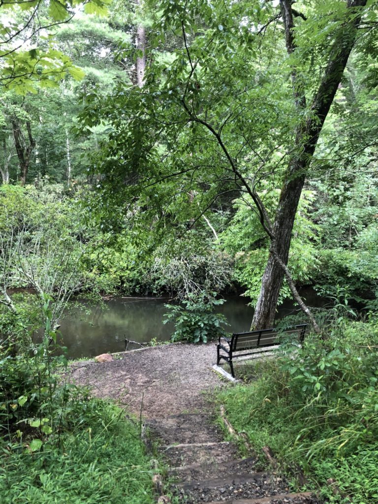 North Carolina Nature Conservancy 